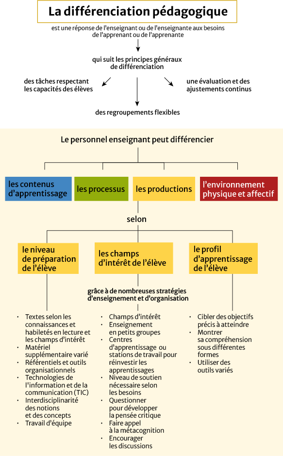 Diagramme dont le titre est : La différenciation pédagogique 